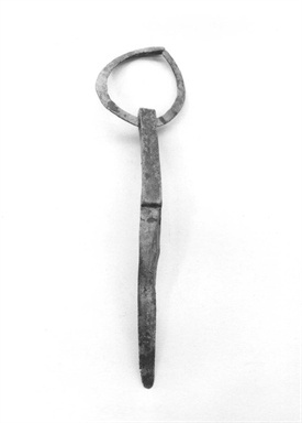 Anello con lamina nastriforme